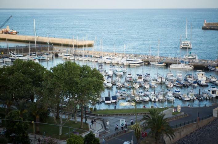 פונשל Apartment W Stunning View - Marina - Free Parking & Ac מראה חיצוני תמונה
